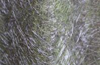 Widmoor fibreglass roof work